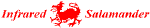 Infrared Salamander
